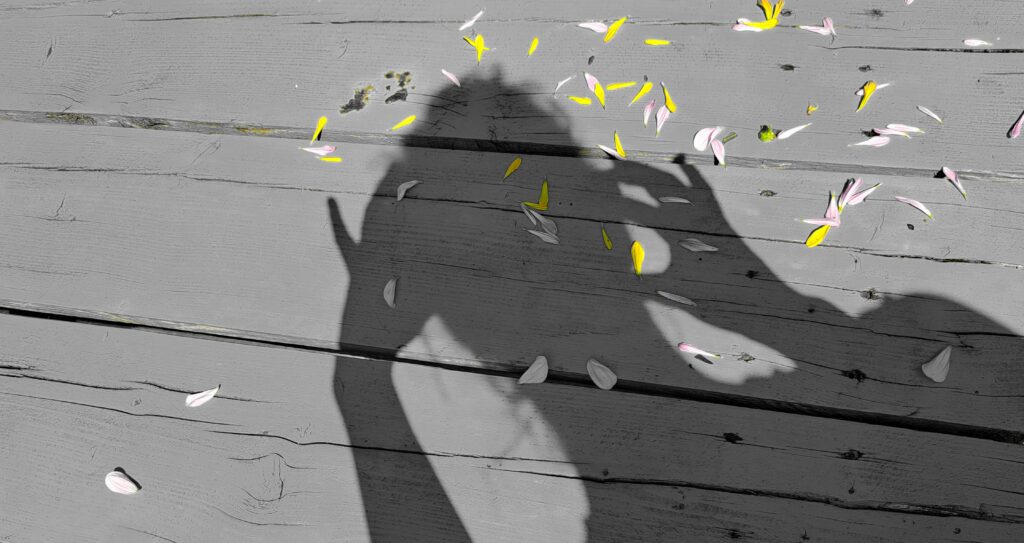 Deze afbeelding heeft een leeg alt-attribuut; de bestandsnaam is 20230820_132920-1024x543.jpg